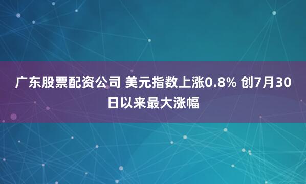 广东股票配资公司 美元指数上涨0.8% 创7月30日以来最大涨幅