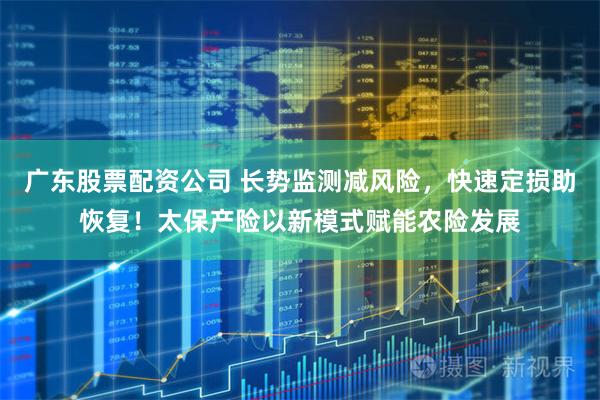 广东股票配资公司 长势监测减风险，快速定损助恢复！太保产险以新模式赋能农险发展