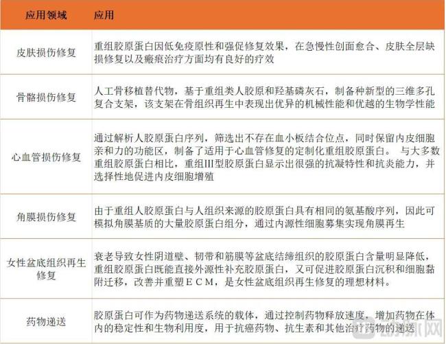 重组胶原蛋白在组织再生中的相关研究应用