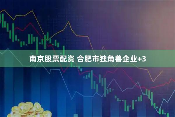 南京股票配资 合肥市独角兽企业+3