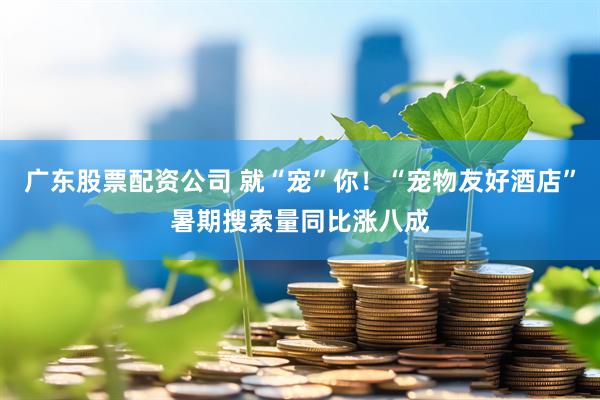 广东股票配资公司 就“宠”你！“宠物友好酒店”暑期搜索量同比涨八成