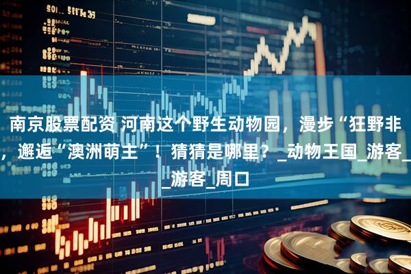 南京股票配资 河南这个野生动物园，漫步“狂野非洲”，邂逅“澳洲萌主”！猜猜是哪里？_动物王国_游客_周口