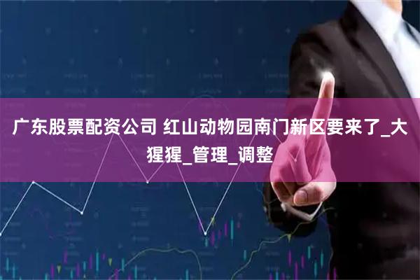 广东股票配资公司 红山动物园南门新区要来了_大猩猩_管理_调整