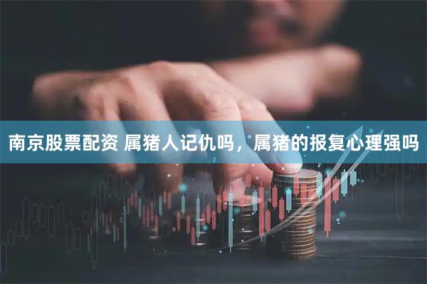 南京股票配资 属猪人记仇吗，属猪的报复心理强吗
