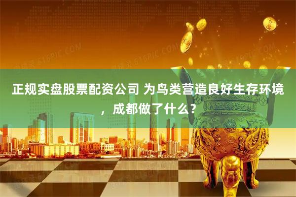 正规实盘股票配资公司 为鸟类营造良好生存环境,成都做了什么?